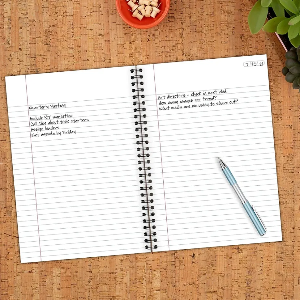 Cambridge Legal 1-Subject Professional Notebooks, 6.5" x 9.5", Legal Ruled, 80 Sheets, Gray (06672)