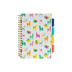 Carpe Diem Color Wash 5-Subject Subject Notebooks, 7.09