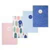 Carpe Diem Feathers 1-Subject Notebooks, 4.1" x 5.8", 16 Sheets, Ruled, Assorted Colors, 4/Pack (9368-CD)