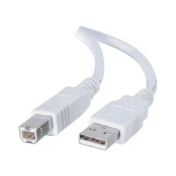 C2G Cables to Go 6.6' USB A to USB B Cable, Male to Male, White (13172)