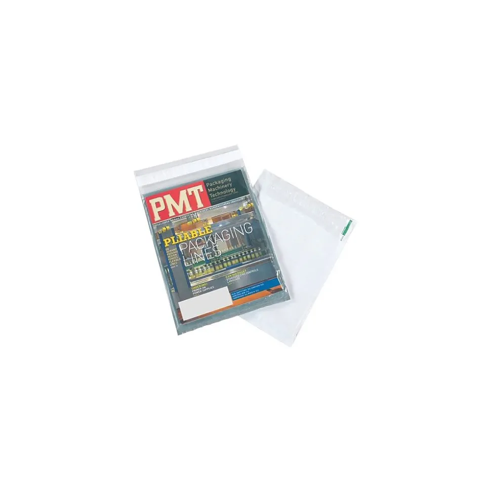 Clear View Poly Envelope, 10" x 13", 500/Carton (CV1013)