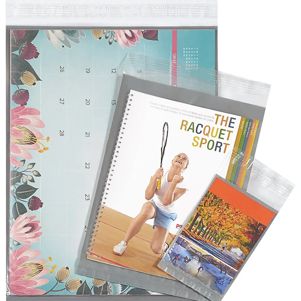 Clear View Poly Envelope, 10" x 13", 500/Carton (CV1013)