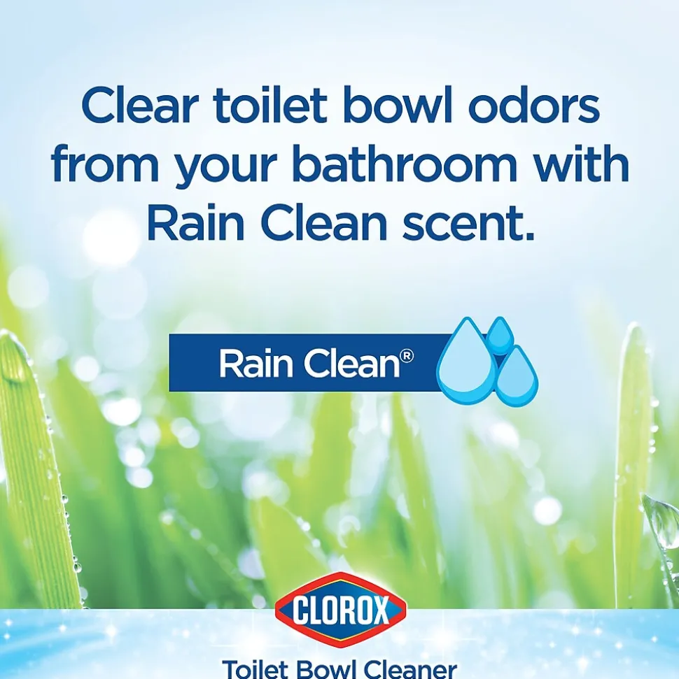 Clorox Disinfecting Toilet Bowl Cleaner with Bleach, Rain Clean Scent, 24 Oz., 2/Pack (00273)