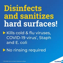 CloroxPro Anywhere Daily Disinfectant & Sanitizer, 1 gal., 4/Carton (31651)
