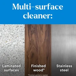 CloroxPro Clorox EcoClean Disinfecting Cleaner, 32 Oz. (60213)