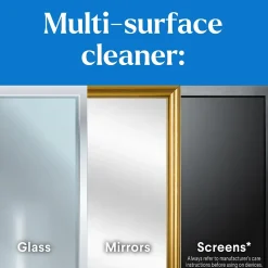 CloroxPro Clorox EcoClean Glass Cleaner, 32 Oz. (60277)