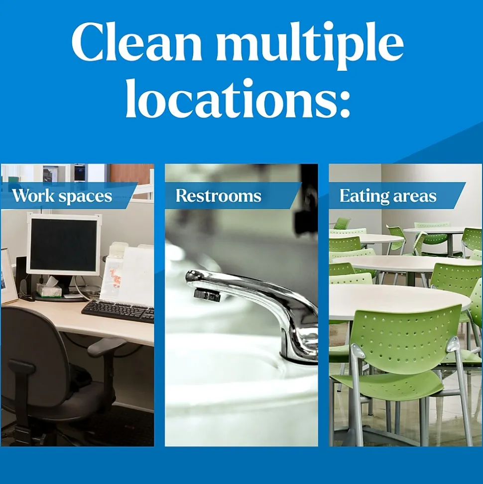 CloroxPro EcoClean All-Purpose Cleaner Spray Bottle, 32 fl. oz. (60276)