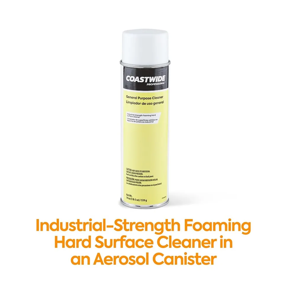 Coastwide Professional™ General-Purpose Cleaner, 19 Oz., 6/Carton (CW58495-A)