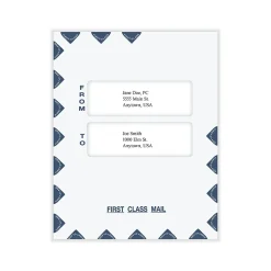 ComplyRight First Class Peel & Seal Tax Envelope, 9.5