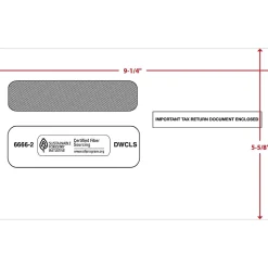 ComplyRight Self Seal Security Tinted Double-Window Tax Envelopes, 5 5/8" x 9.25", 25/Pack (6666225)