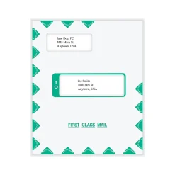 ComplyRight Self-Seal Tax Envelope, 11.63