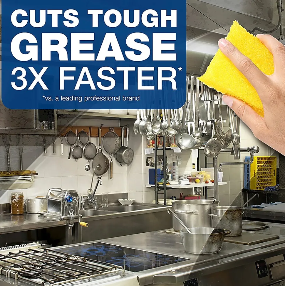 Dawn Professional Degreaser Spray, 32 fl oz., 6/Carton (04854)