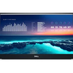 Dell 14" LCD Monitor, Black/Gray (P1424H)