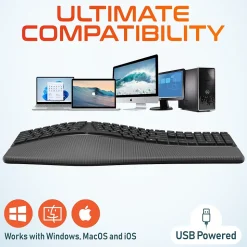 Delton KB250 Ergonomic Keyboard, Black (DKBE250-U)