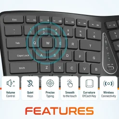 Delton KB250 Ergonomic Wireless Curved Keyboard with Cushioned Wrist Rest, Black (DKBE250-WR)