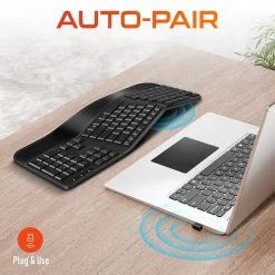 Delton KB200 Wireless Ergonomic Keyboard, Black (DKBERG24G8-WB)