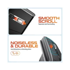 Delton S20 Wireless Optical Mouse, Black (DMS20-WB)