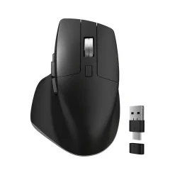 Delton S18 Wireless Optical Mouse, Black (DMS18-WB)