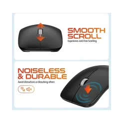 Delton S10 Wireless Optical Mouse, Black (DMERGS10-WB)