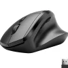 Delton S30 Wireless Optical 2.4 GHz Mouse, Black (DMERGS30-WB)