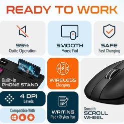 Delton S8/D101 Wireless Optical 2.4 GHz Mouse and Non-Skid Mouse Pad, Black (DMMPADKIT101)