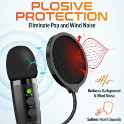 Delton U3000 Noise Canceling Condenser Microphone, Black (DRU3000)