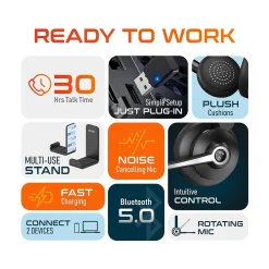 Delton 30X Wireless Noise Canceling Bluetooth Stereo Headset with Auto-Pair USB Dongle and Headset Hook (DBTHEAD30XBTDLHSAS1)