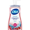 Dial Antibacterial Foaming Hand Soap, Power Berries Scent, 8/Carton (017000347271)