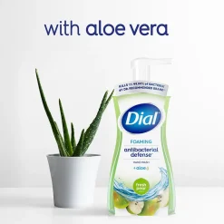 Dial Antibacterial Foaming Hand Soap, Fresh Pear Scent, 8/Carton (017000347219)