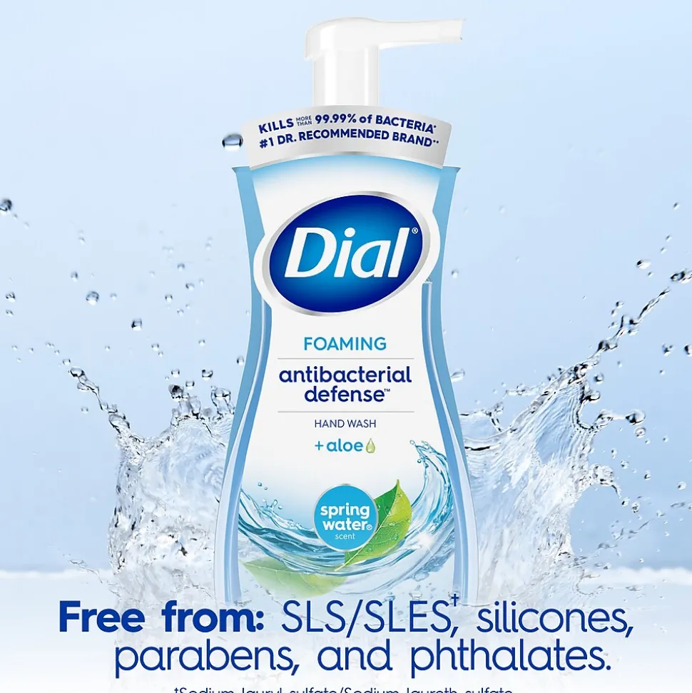Dial Antibacterial Foaming Hand Soap, Spring Water Scent, 8/Carton (017000347394)