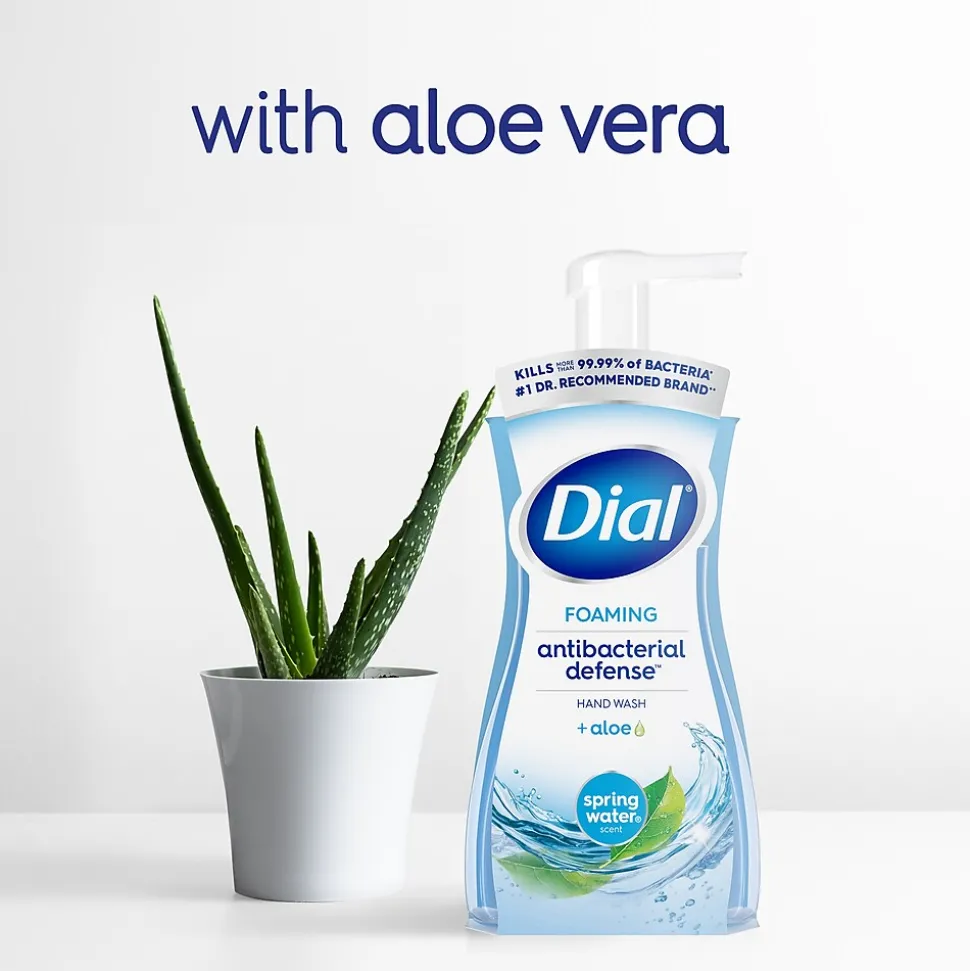 Dial Antibacterial Foaming Hand Soap, Spring Water Scent, 8/Carton (017000347394)