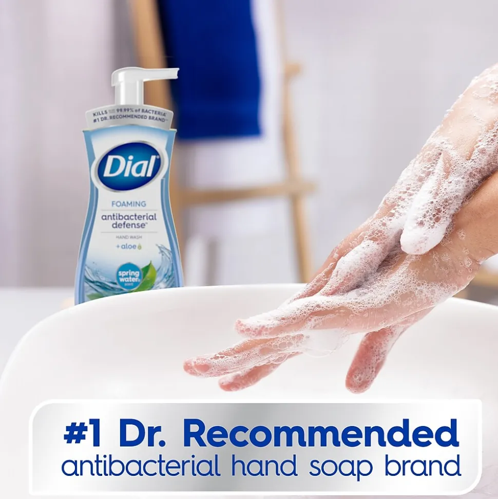 Dial Antibacterial Foaming Hand Soap, Spring Water Scent, 8/Carton (017000347394)