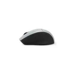 Digital Innovations EasyGlide Ambidextrous Wireless Optical 2.4 GHz Mouse, Black/Silver (GB1747)