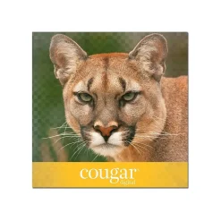 Domtar Cougar Digital 80 lb. Cover Paper, 11" x 17", White, 250 Sheets/Pack (2868)