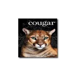 Domtar Cougar Digital 10% Recycled 8.5" x 11" Paper, 80 lbs., 98 Brightness, 250/Ream, 8 Reams/Carton (2986)