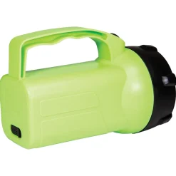 Dorcy 180-Lumen Floating LED Rechargeable Floating Lantern Spotlight, Green (41-3128)