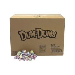 Dum Dums Lollipops, Assorted Flavors, 480 oz., (211-00014)