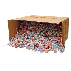 Dum Dums Lollipops, Assorted Flavors, 480 oz., (211-00014)
