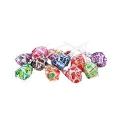 Dum Dums Lollipops, Assorted Flavors, 480 oz., (211-00014)