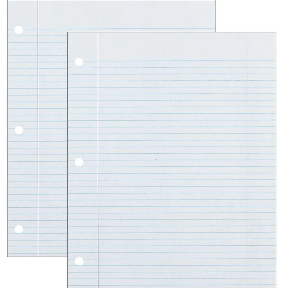 Ecology College Ruled Filler Paper, 8.5" x 11", 3-Hole Punched, 500 Sheets/Pack, 2 Packs/Bundle (PAC2417-2)