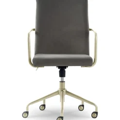Elle Decor Giselle Fabric Computer and Desk Chair, Light Gray/Gold (CHR10058B)