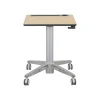 Ergotron 29"-45" Adjustable Desk, Maple/Silver (24-811-F13)