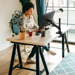 Ergotron NX Adjustable Single Monitor Arm, Up to 34