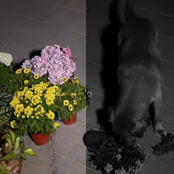 Eufy SoloCam S230 Outdoor Wireless Solar Security Camera, White (T81241W1)