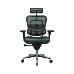 Eurotech Ergohuman Mesh Back Leather Task Chair, Black (LEM4ERG -LBK(N))