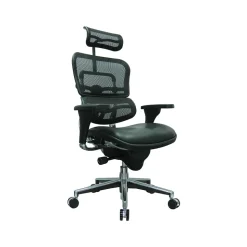 Eurotech Ergohuman Mesh Back Leather Task Chair, Black (LEM4ERG -LBK(N))