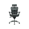 Eurotech High Back Mesh Task Chair, Black (ME7ERG(N))