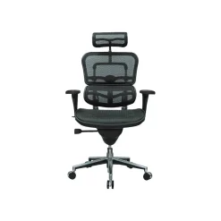 Eurotech High Back Mesh Task Chair, Black (ME7ERG(N))