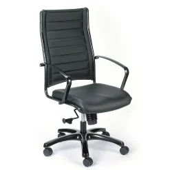 Eurotech High Back Titanium Frame Leather Executive Chair: Black