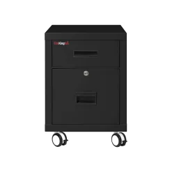 FireKing 2-Drawer Mobile Vertical File Cabinet, Letter/Legal Size, Lockable, Fire Resistant, Black (2M1822-1BL)